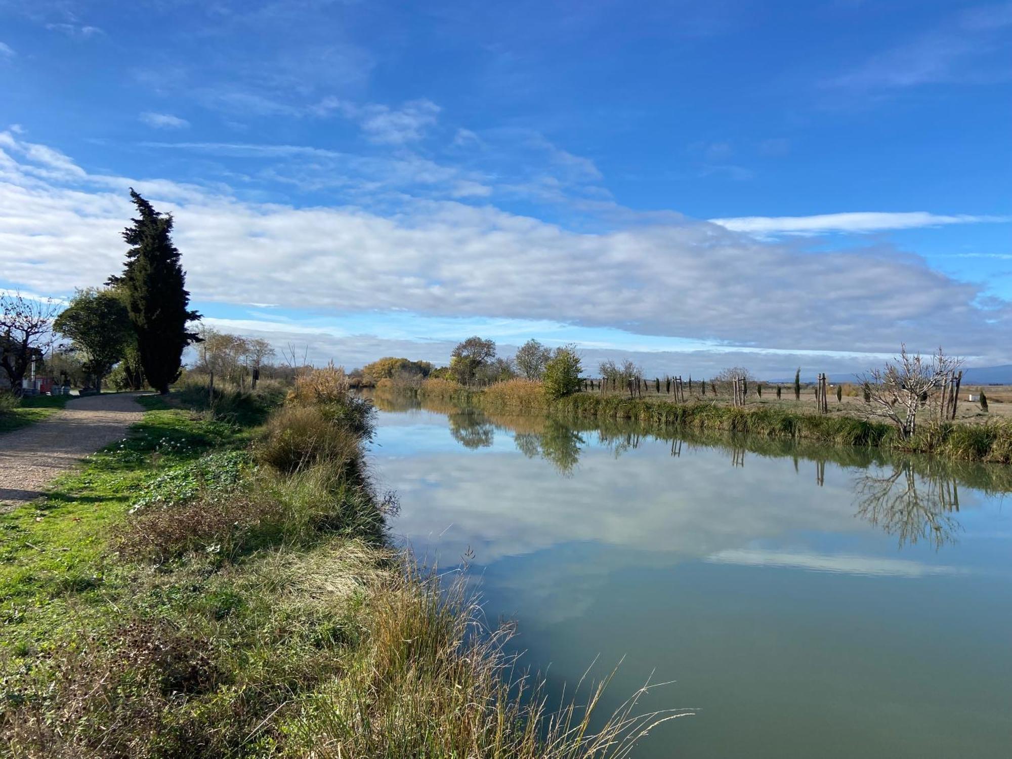 Maison, Canal Du Midi Piscine Homps  Exterior foto